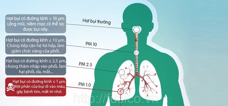Ảnh hưởng bụi mịn đến sức khỏe con người