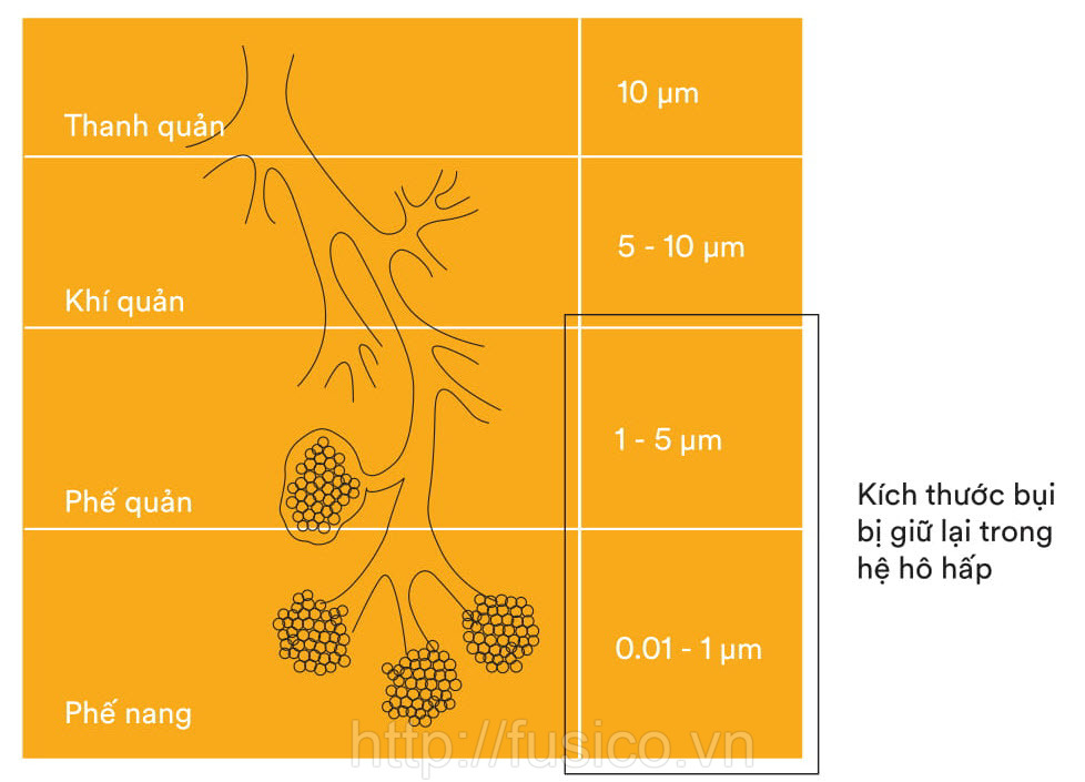 Nguy hiểm đến từ bụi mịn trong không khí