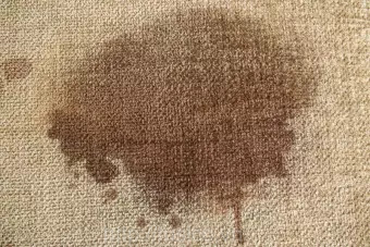 Ứng dụng chai tẩy điểm cho thảm 3M Scotchgard Spot Remover 